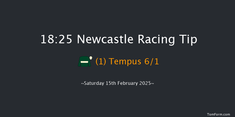 Newcastle  18:25 Handicap (Class 4) 8f Fri 14th Feb 2025