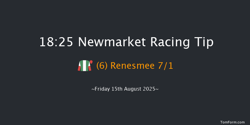 Newmarket 18-25 (Class 5) 8f Sat 9th Aug 2025