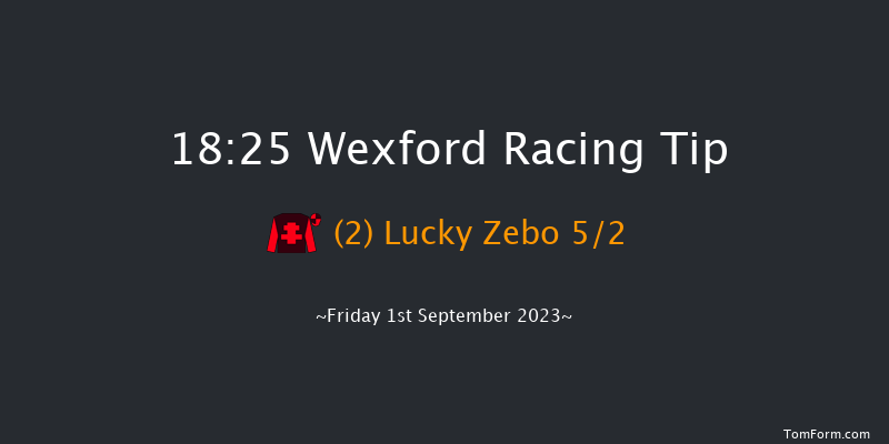 Wexford 18:25 Maiden Chase 20f Fri 11th Aug 2023