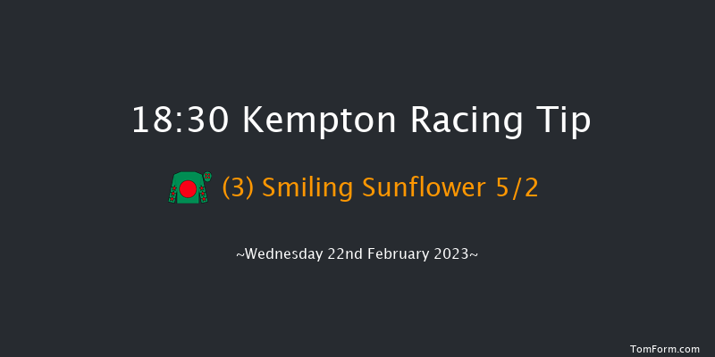 Kempton 18:30 Handicap (Class 4) 8f Wed 15th Feb 2023