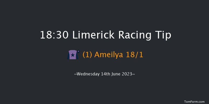 Limerick 18:30 Maiden 7f Fri 26th May 2023