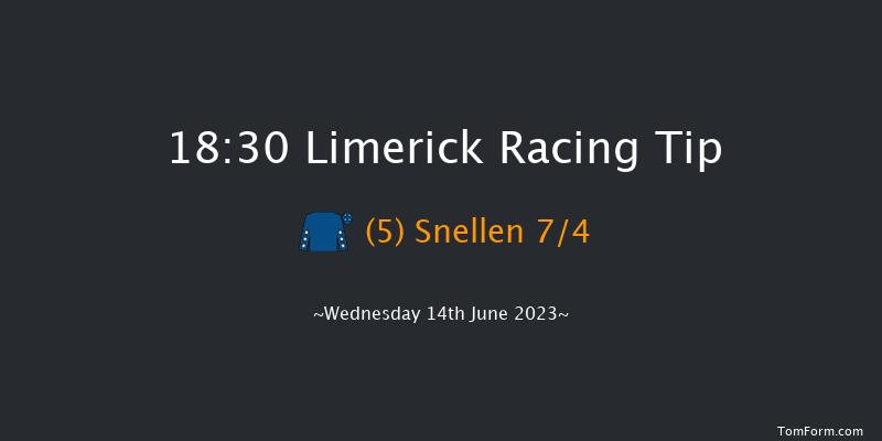 Limerick 18:30 Maiden 7f Fri 26th May 2023
