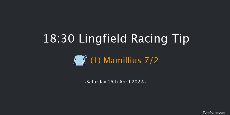 Lingfield 18:30 Handicap (Class 4) 7f Fri 15th Apr 2022