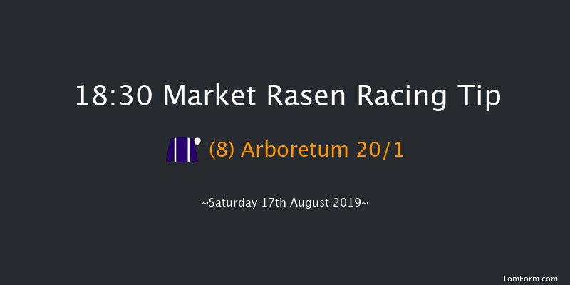 Market Rasen 18:30 Handicap Chase (Class 5) 24f Sun 4th Aug 2019