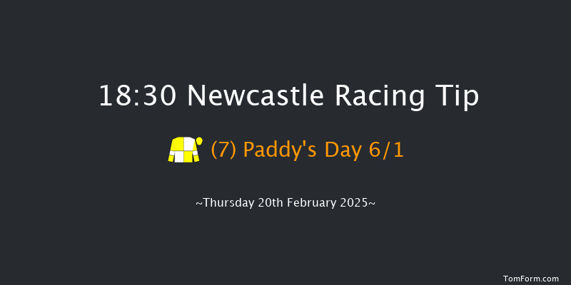 Newcastle  18:30 Handicap (Class 3) 5f Sat 15th Feb 2025