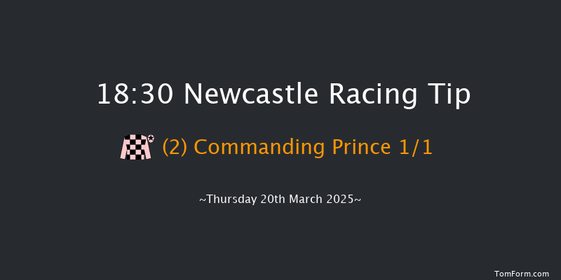 Newcastle  18:30 Stakes (Class 4) 7f Sat 15th Mar 2025