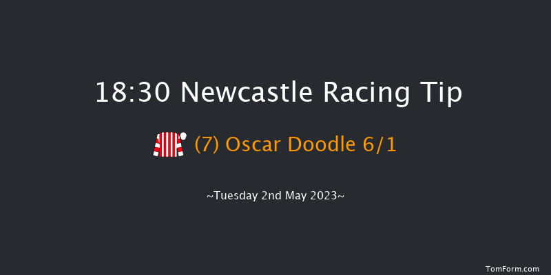Newcastle 18:30 Handicap (Class 6) 10f Sat 15th Apr 2023