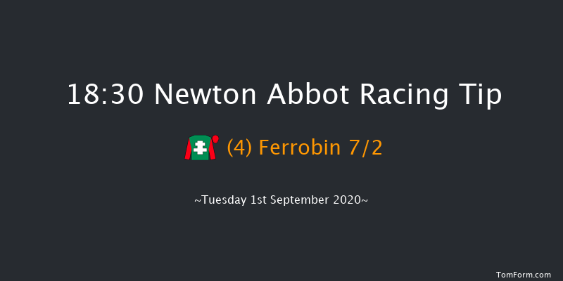 William Hill Handicap Hurdle Newton Abbot 18:30 Handicap Hurdle (Class 3) 17f Fri 21st Aug 2020