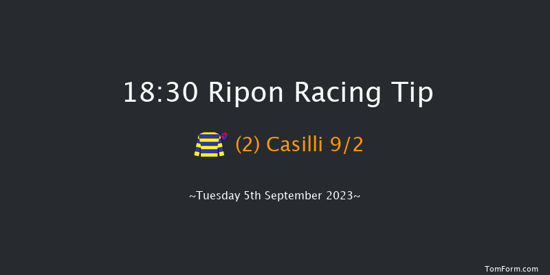 Ripon 18:30 Handicap (Class 4) 8f Tue 29th Aug 2023