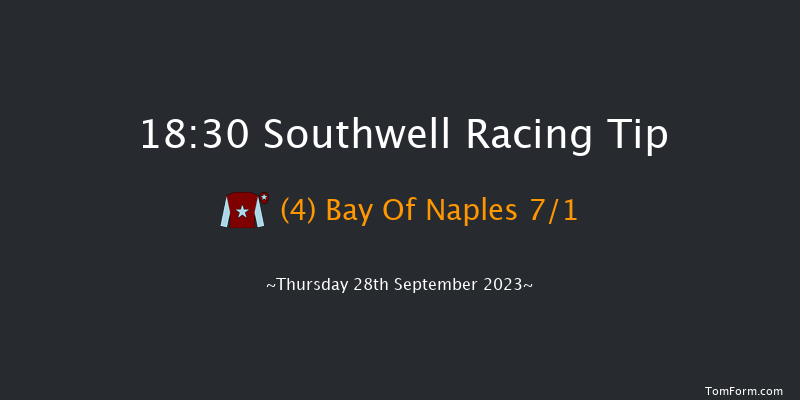 Southwell 18:30 Handicap (Class 6) 11f Wed 13th Sep 2023