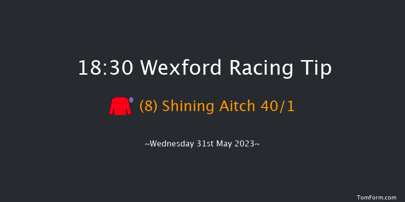 Wexford 18:30 Handicap Hurdle 18f Sat 20th May 2023