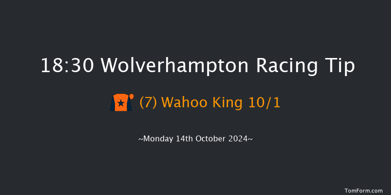 Wolverhampton  18:30 Handicap (Class 6) 16f Mon 7th Oct 2024