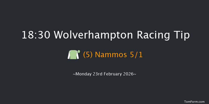 Wolverhampton 18-30 (Class 6) 7f Tue 17th Feb 2026