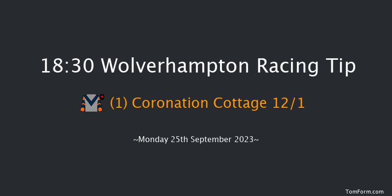 Wolverhampton 18:30 Handicap (Class 6) 5f Sat 23rd Sep 2023