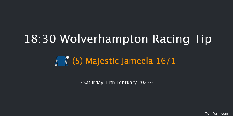 Wolverhampton 18:30 Stakes (Class 4) 12f Tue 7th Feb 2023