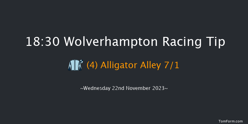 Wolverhampton 18:30 Handicap (Class 2) 5f Tue 21st Nov 2023