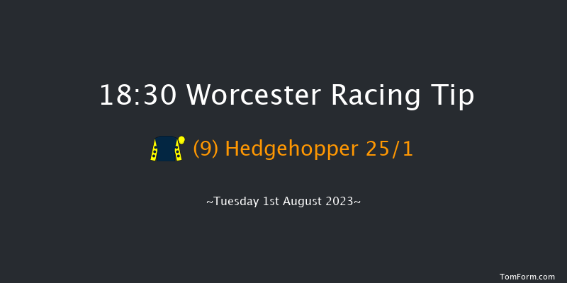 Worcester 18:30 Handicap Chase (Class 5) 20f Thu 27th Jul 2023