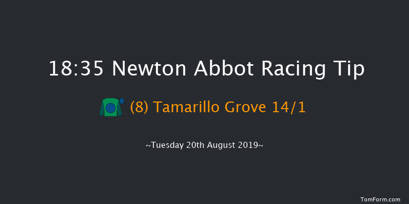 Newton Abbot 18:35 Handicap Hurdle (Class 3) 17f Wed 14th Aug 2019