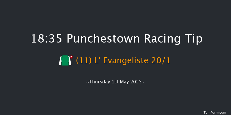 Punchestown 18-35 16f Wed 30th Apr 2025