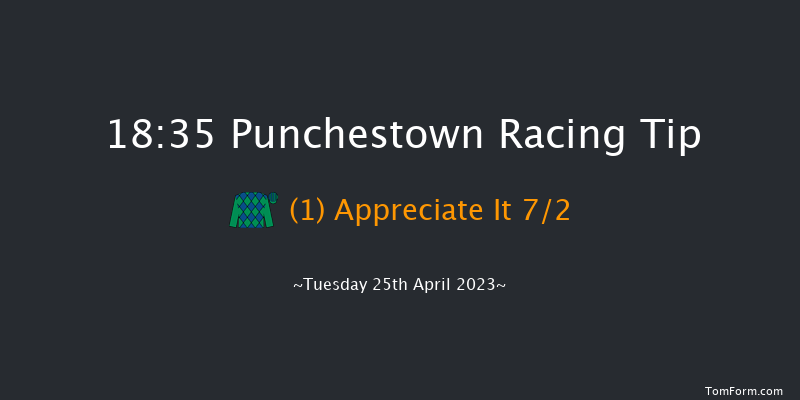 Punchestown 18:35 Maiden Chase 24f Wed 22nd Feb 2023