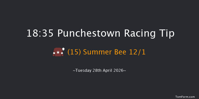 Punchestown 18-35 16f Wed 18th Feb 2026