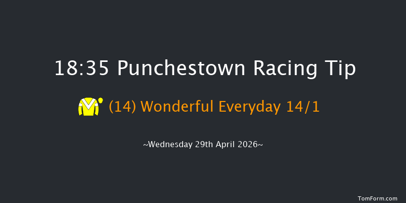 Punchestown 18-35 (Class 1) 16f Tue 28th Apr 2026