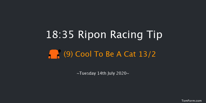 Sharow Handicap Ripon 18:35 Handicap (Class 6) 8f Wed 8th Jul 2020
