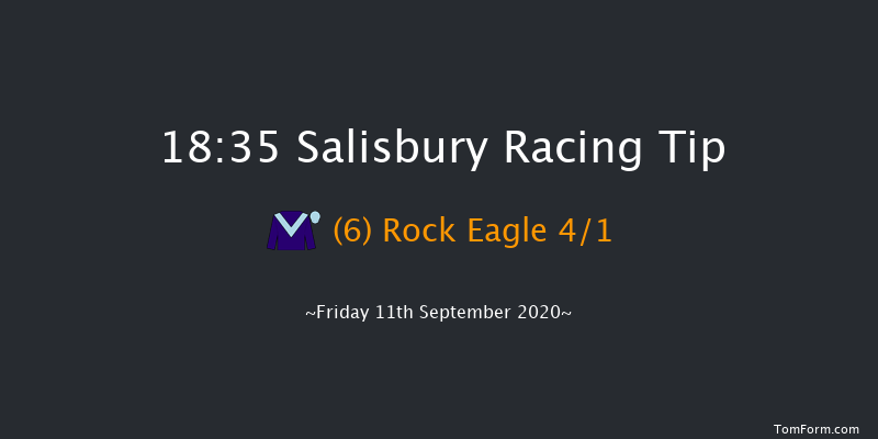 Persian Punch Conditions Stakes Salisbury 18:35 Stakes (Class 2) 14f Thu 3rd Sep 2020