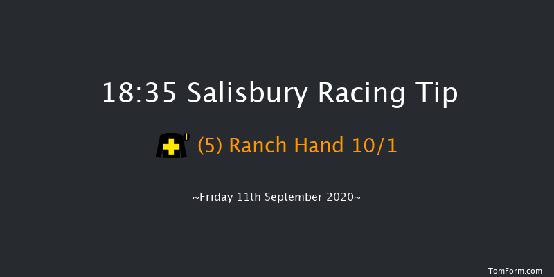 Persian Punch Conditions Stakes Salisbury 18:35 Stakes (Class 2) 14f Thu 3rd Sep 2020