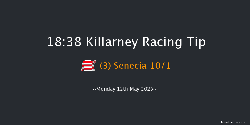 Killarney 18-38 (Class 1) 20f Sun 11th May 2025