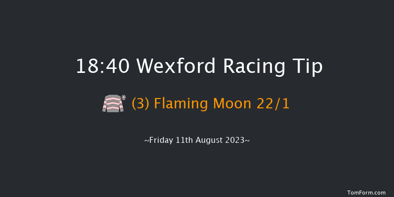 Wexford 18:40 Beginners Chase 20f Fri 7th Jul 2023