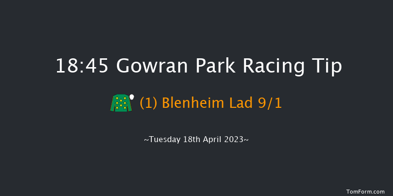 Gowran Park 18:45 Maiden 10f Sat 11th Mar 2023