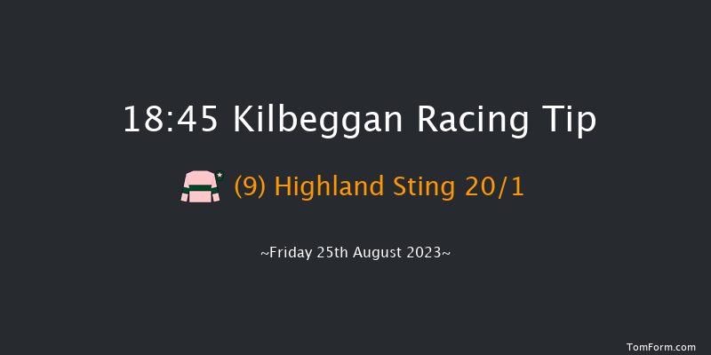 Kilbeggan 18:45 Handicap Chase 25f Sat 12th Aug 2023
