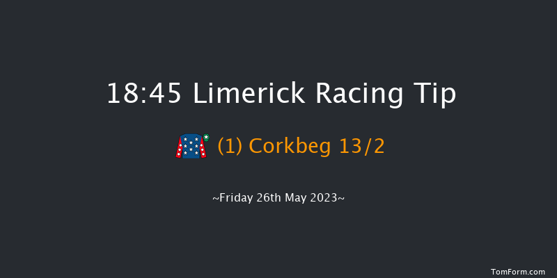 Limerick 18:45 Handicap Hurdle 19f Thu 25th May 2023