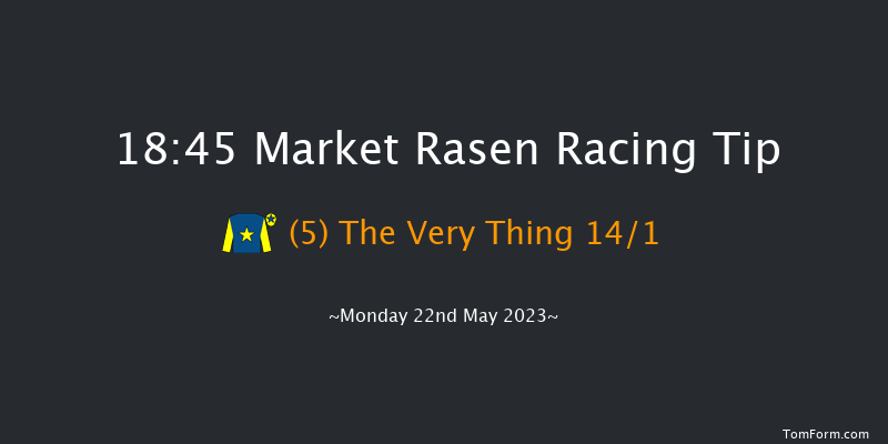 Market Rasen 18:45 Handicap Chase (Class 5) 24f Fri 12th May 2023