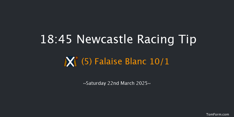 Newcastle  18:45 Handicap (Class 6) 7f Thu 20th Mar 2025