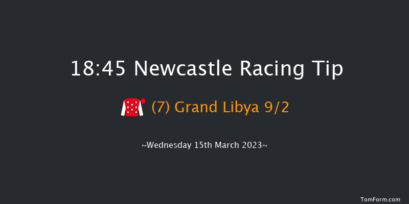 Newcastle 18:45 Handicap (Class 5) 8f Tue 14th Mar 2023