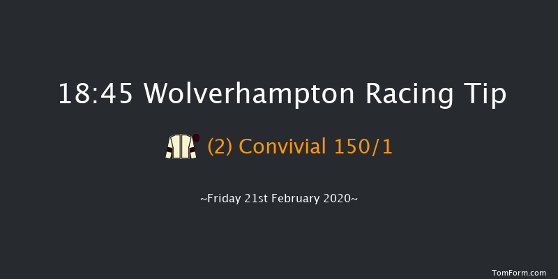 Betway Novice Stakes Wolverhampton 18:45 Stakes (Class 5) 10f Mon 10th Feb 2020