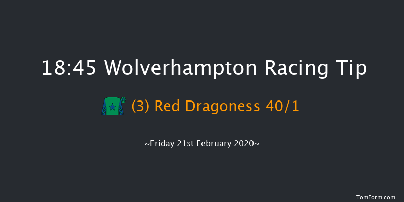 Betway Novice Stakes Wolverhampton 18:45 Stakes (Class 5) 10f Mon 10th Feb 2020