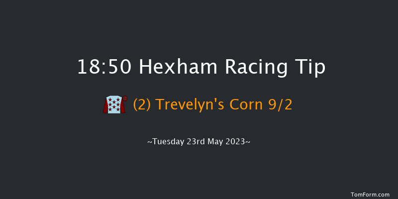 Hexham 18:50 Handicap Chase (Class 5) 20f Sat 13th May 2023