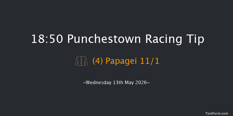 Punchestown 18-50 24f Sat 2nd May 2026