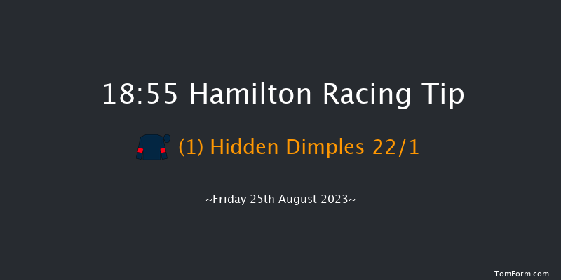 Hamilton 18:55 Handicap (Class 2) 12f Mon 14th Aug 2023