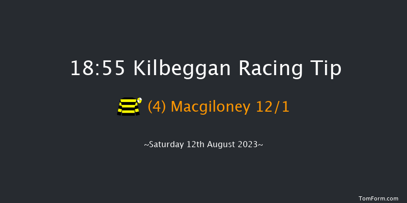 Kilbeggan 18:55 Conditions Hurdle 25f Fri 21st Jul 2023