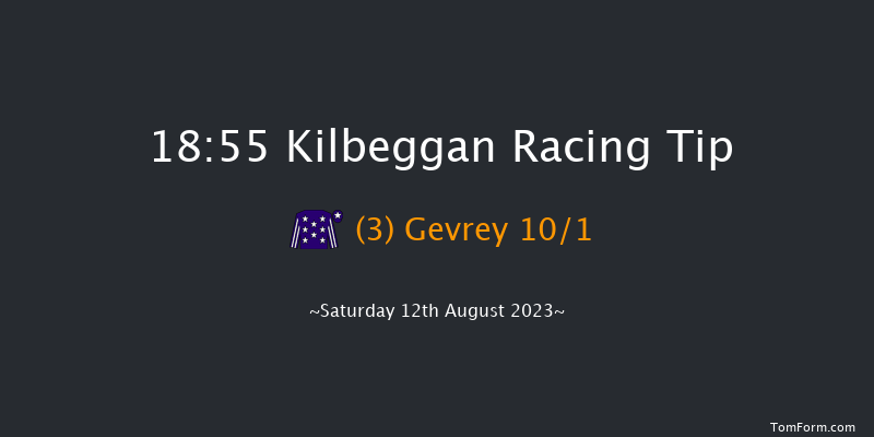 Kilbeggan 18:55 Conditions Hurdle 25f Fri 21st Jul 2023