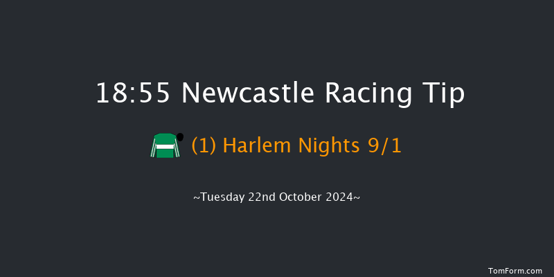 Newcastle  18:55 Handicap (Class 5) 8f  Fri 18th Oct 2024