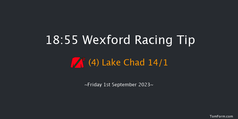Wexford 18:55 Handicap Chase 20f Fri 11th Aug 2023