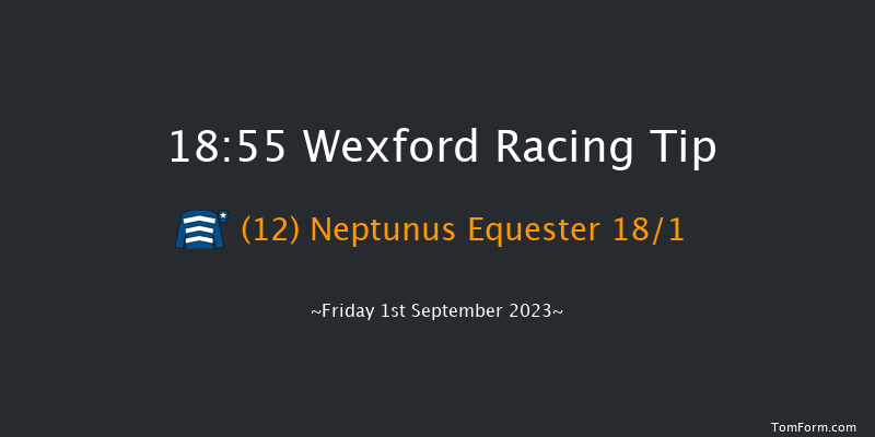 Wexford 18:55 Handicap Chase 20f Fri 11th Aug 2023