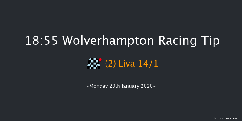 Wolverhampton 18:55 Handicap (Class 6) 12f Sun 19th Jan 2020