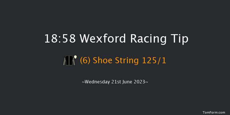 Wexford 18:58 Maiden Hurdle 20f Tue 20th Jun 2023