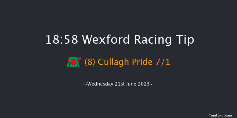 Wexford 18:58 Maiden Hurdle 20f Tue 20th Jun 2023